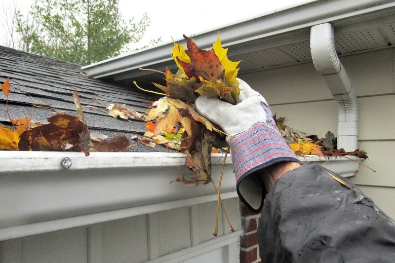 Clogged Gutter Clearing in Arvada, CO