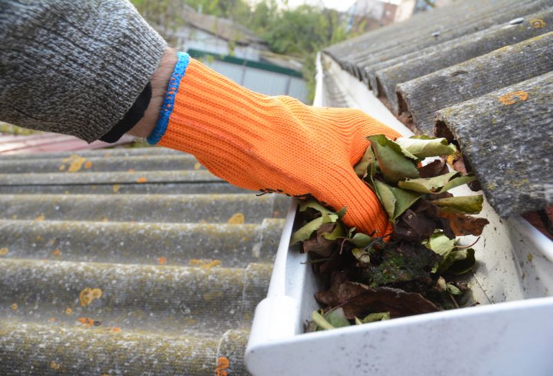Gutter Leaf Clearing in Boulder, CO