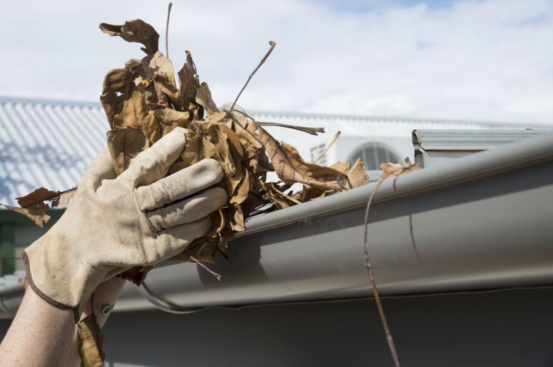 Gutter Pine Needle Removal in Monmouth County, NJ
